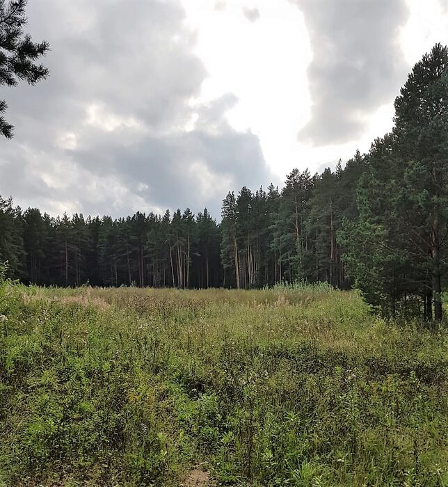 г. Арамиль, ул. Строителей, 34 (городской округ Арамильский) - фото земельного участка (5)