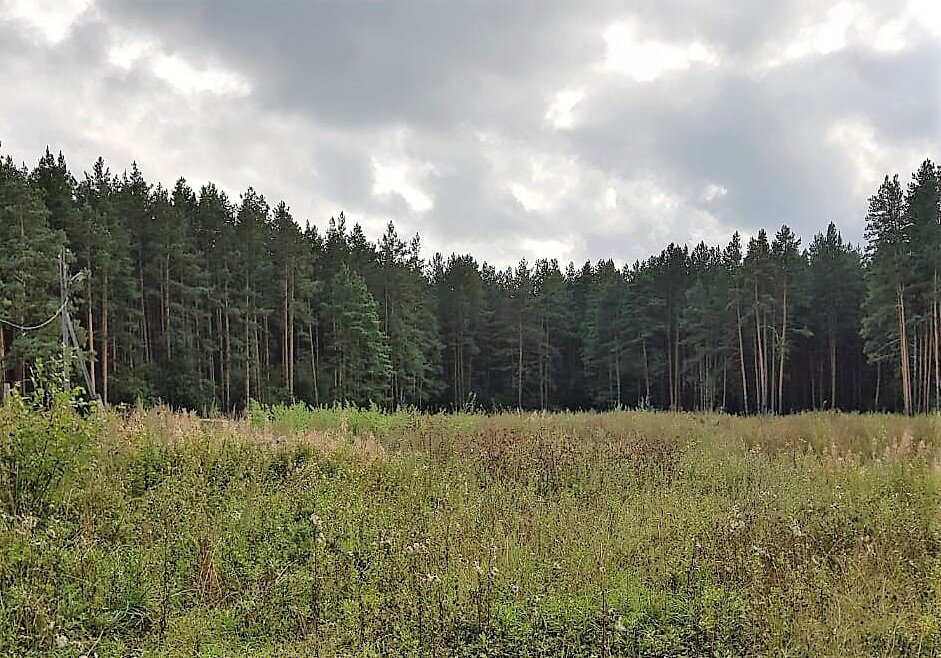 г. Арамиль, ул. Строителей, 34 (городской округ Арамильский) - фото земельного участка (6)