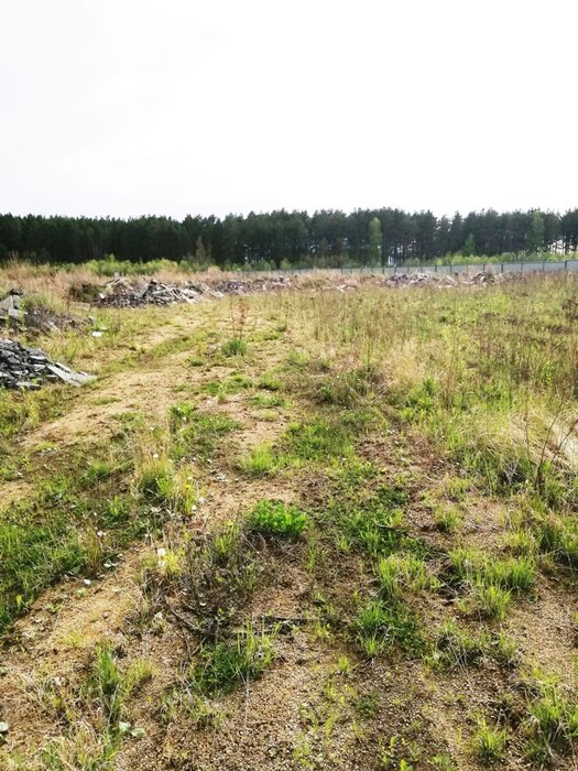 Екатеринбург, ул. Арамильский тракт (Кольцово) - фото земельного участка (4)