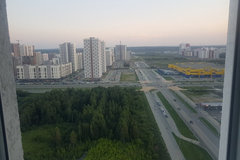 Екатеринбург, ул. Рябинина, 31 (Академический) - фото квартиры