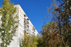 Екатеринбург, ул. Карла Маркса, 60 (Центр) - фото квартиры