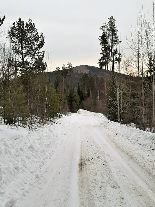 п. Исеть, СНТ Огонек (городской округ Верхняя Пышма) - фото сада (7)