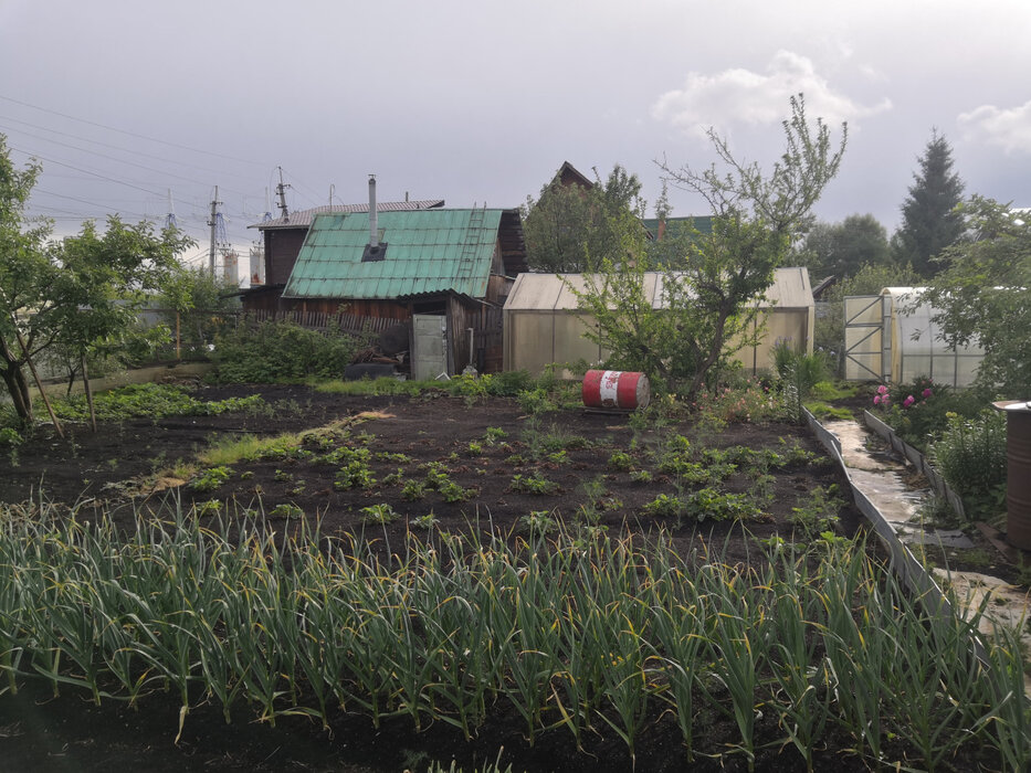 Екатеринбург, коллективный сад 