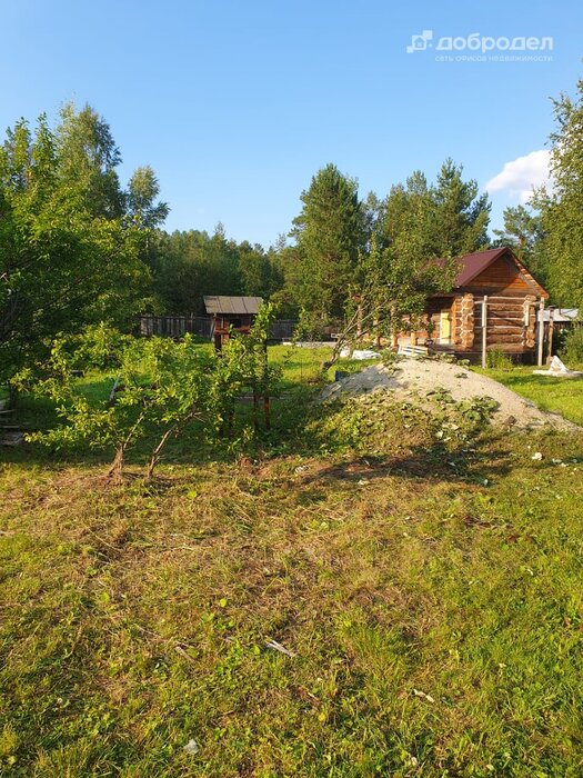 д. Старые Решёты, к/с Экспресс (городской округ Первоуральск) - фото сада (3)