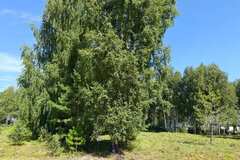 к.п. Заповедник, ул. Малахит, 63 (городской округ Сысертский, п. Габиевский) - фото земельного участка