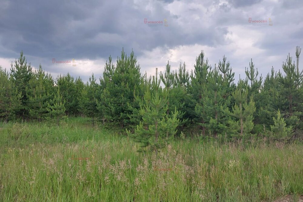 поселок городского типа Белоярский (городской округ Белоярский) - фото земельного участка (4)