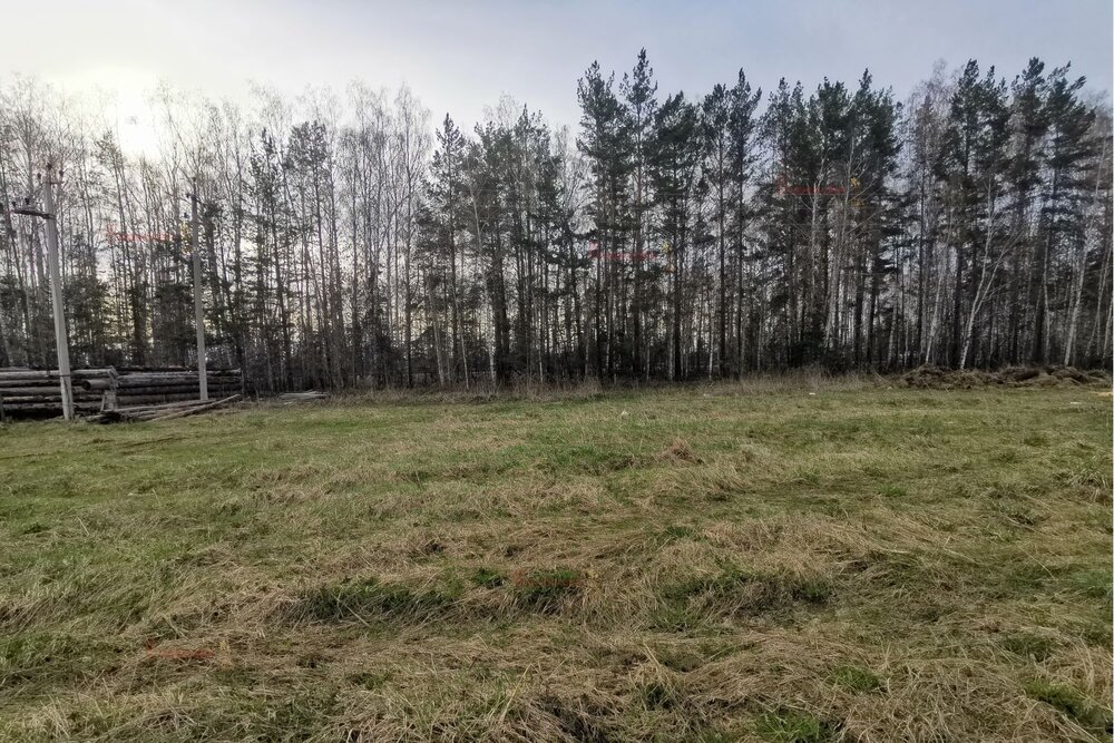 с. Курганово, ул. Елизаветинская (городской округ Полевской) - фото земельного участка (1)