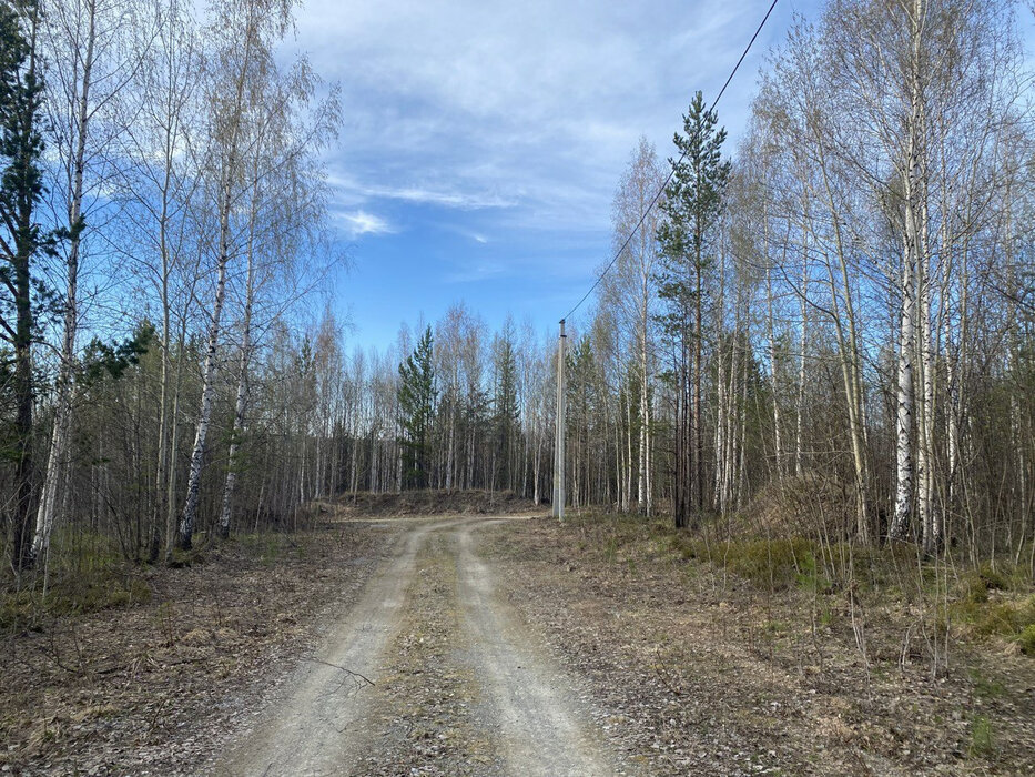 с. Первомайское (Нижнесергинский р-он), ул. Черемшанка (Нижнесергинский район) - фото сада (1)