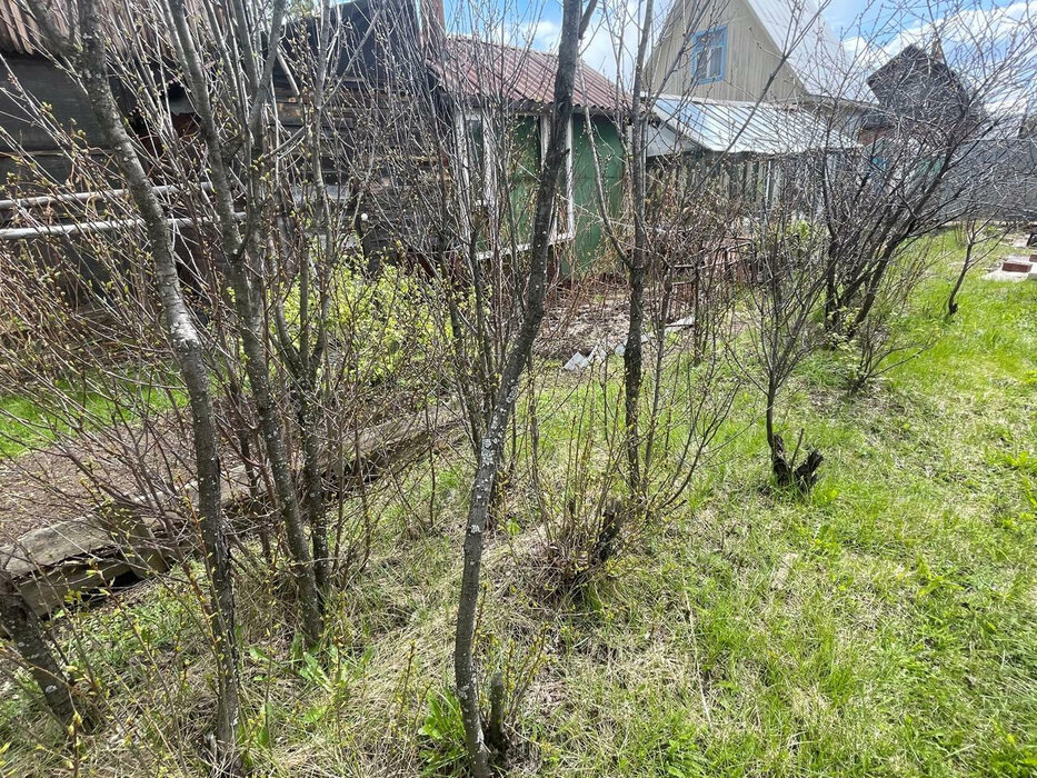 СНТ Строитель, 5-я улица (городской округ Белоярский) - фото сада (5)