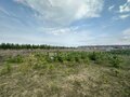 Продажа земельного участка: д. Гусева (городской округ Белоярский) - Фото 3