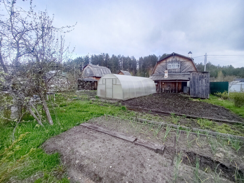 Екатеринбург, СНТ Приисковый-Керамик, уч. 8-й проезд, 130 - фото сада (7)