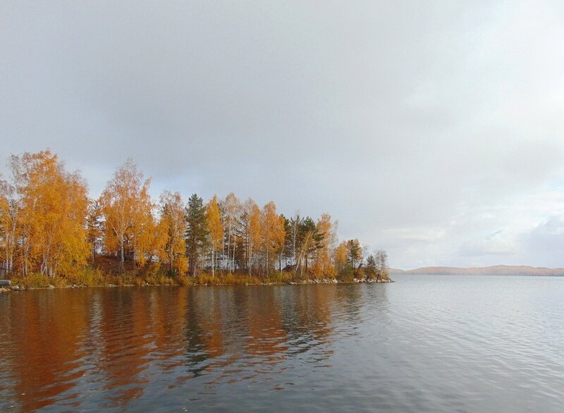 с. Иткуль, СНТ № 10, ул. улица 5, 26 (городской округ Верхнеуфалейский) - фото сада (1)