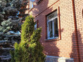 Продажа коттеджей: д. Шиши, ул. Зеленая, 26 (городской округ Белоярский) - Фото 5