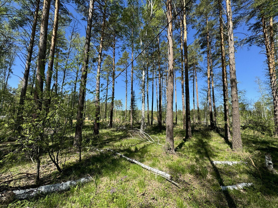 с. Кунгурка, ул. Хрустальная (городской округ Ревда) - фото земельного участка (1)