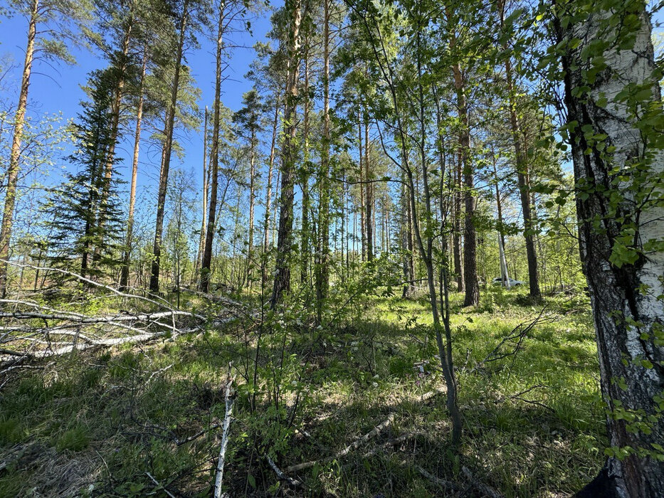 с. Кунгурка, ул. Хрустальная (городской округ Ревда) - фото земельного участка (5)