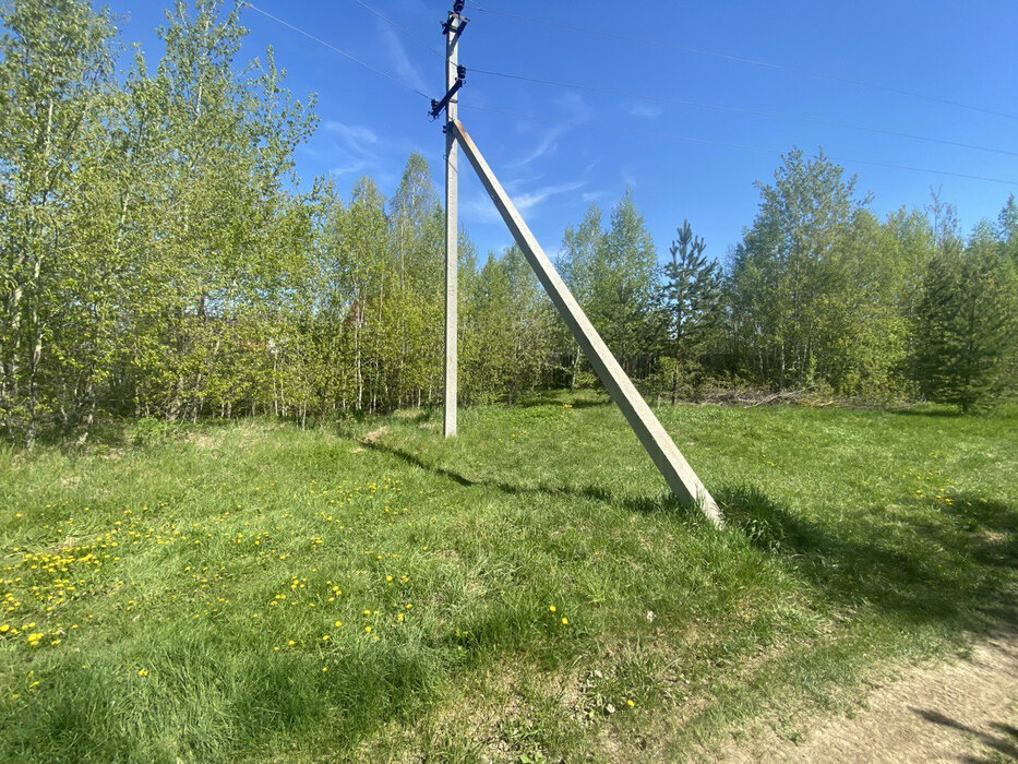 пгт. Верхнее Дуброво, ул. Дачная (городской округ Верхнее Дуброво) - фото земельного участка (3)