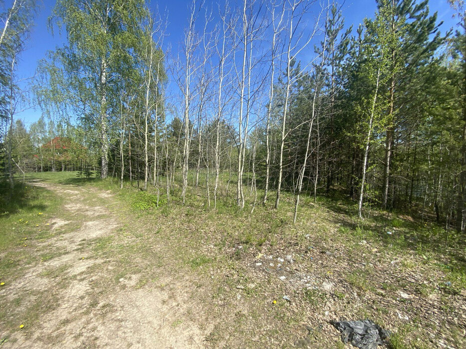 пгт. Верхнее Дуброво, ул. Дачная (городской округ Верхнее Дуброво) - фото земельного участка (7)