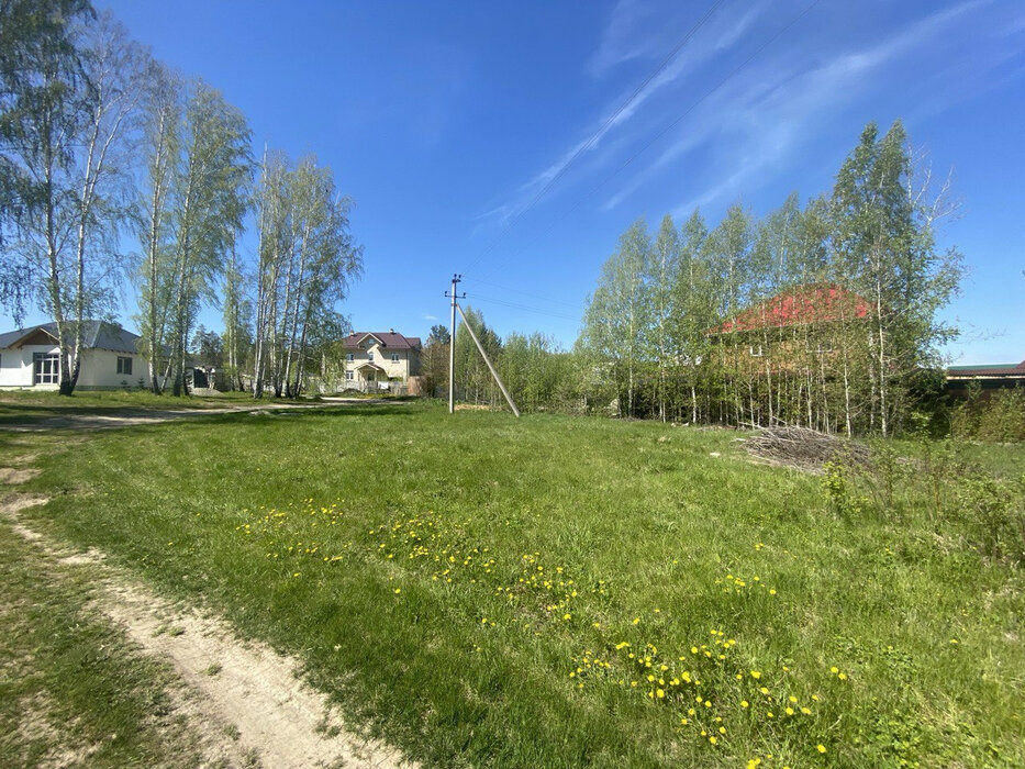 пгт. Верхнее Дуброво, ул. Дачная (городской округ Верхнее Дуброво) - фото земельного участка (8)