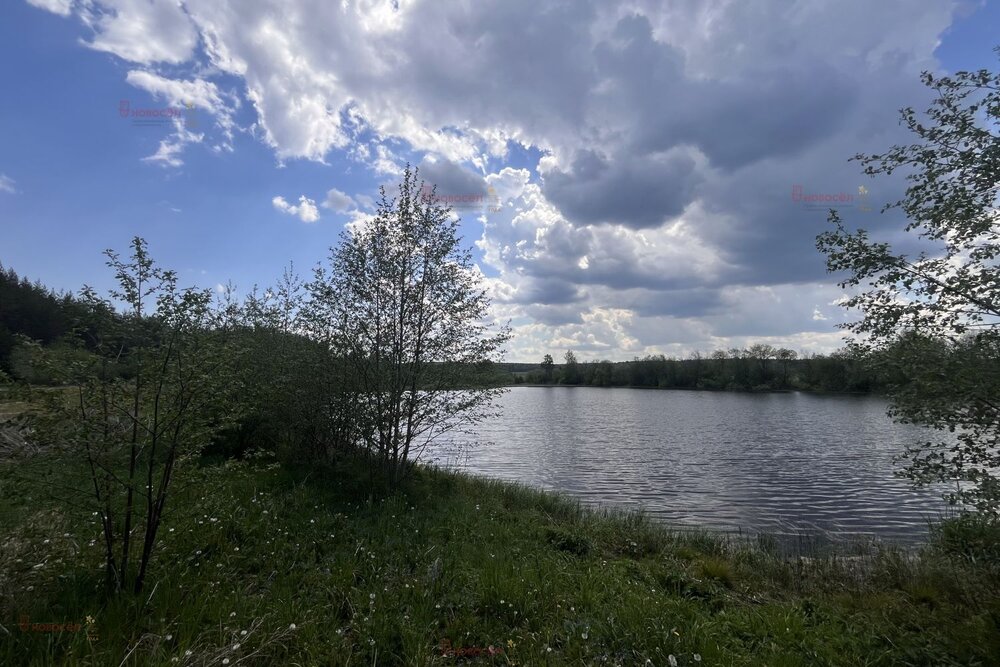 пгт. Билимбай, ул. Некрасова, 66 (городской округ Первоуральск) - фото земельного участка (4)