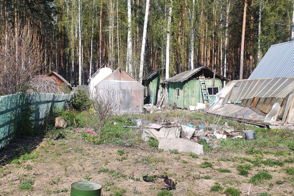 Екатеринбург, СНТ Жилищник-1 - фото сада (8)