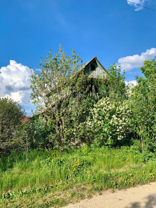 c. Шурала, СНТ № 5 (городской округ Невьянский) - фото сада (1)