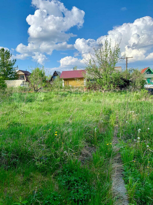 c. Шурала, СНТ № 5 (городской округ Невьянский) - фото сада (8)