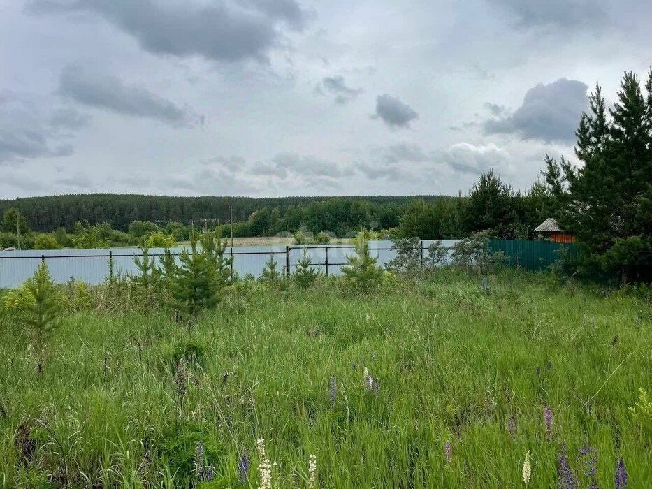 д. Ключи (г.о. Сысертский), ул. Садовая, 19 (городской округ Сысертский) - фото земельного участка (4)