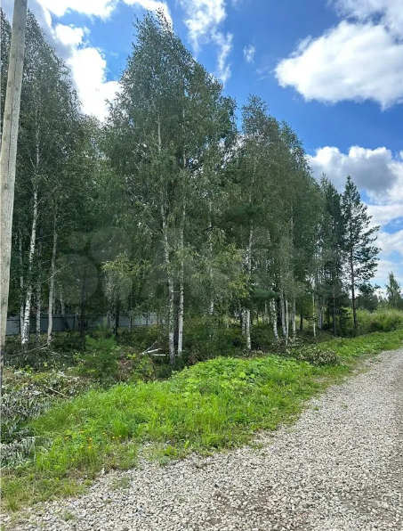 п. Гагарский, ул. 1-я Парковая, 11 (городской округ Белоярский) - фото земельного участка (2)