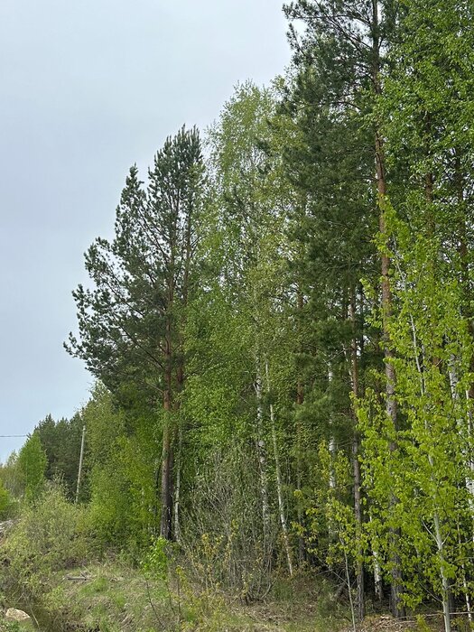 п. Гагарский, ул. 3-я Парковая, 12 (городской округ Белоярский) - фото земельного участка (3)