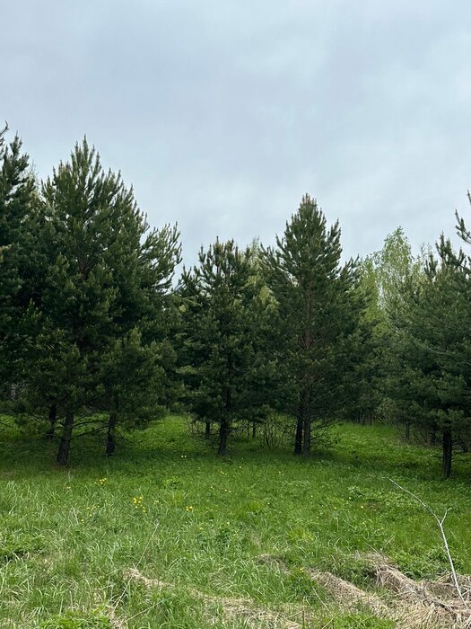 п. Гагарский, ул. 2-я Парковая, 66 (городской округ Белоярский) - фото земельного участка (1)