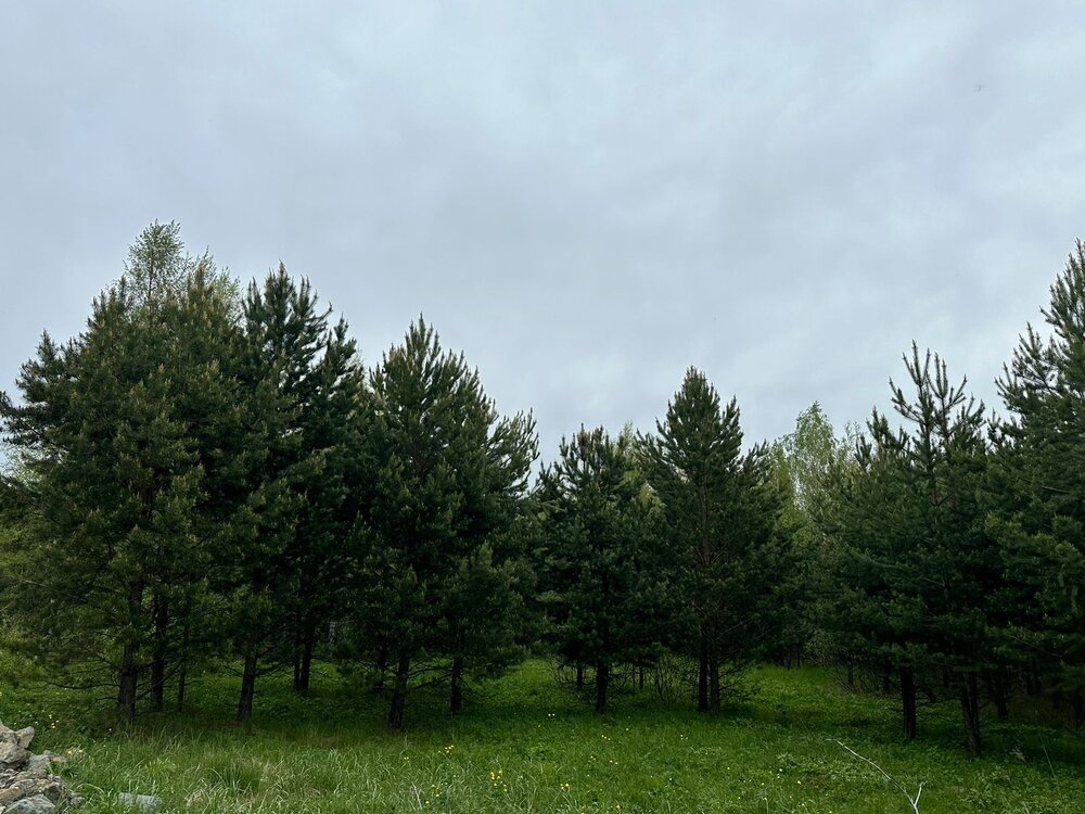 п. Гагарский, ул. 2-я Парковая, 66 (городской округ Белоярский) - фото земельного участка (2)