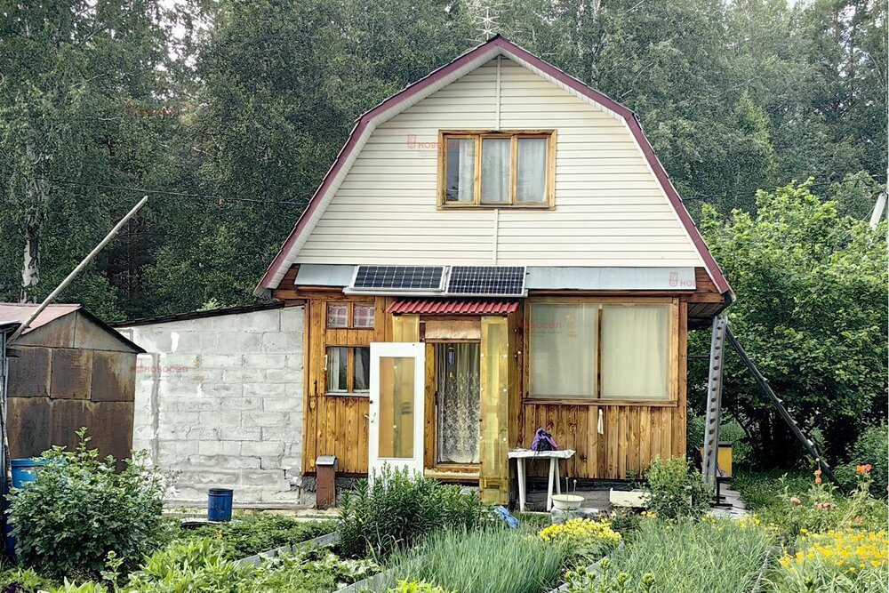 пгт. Верхнее Дуброво, СНТ Метеоролог (городской округ Верхнее Дуброво) - фото сада (2)