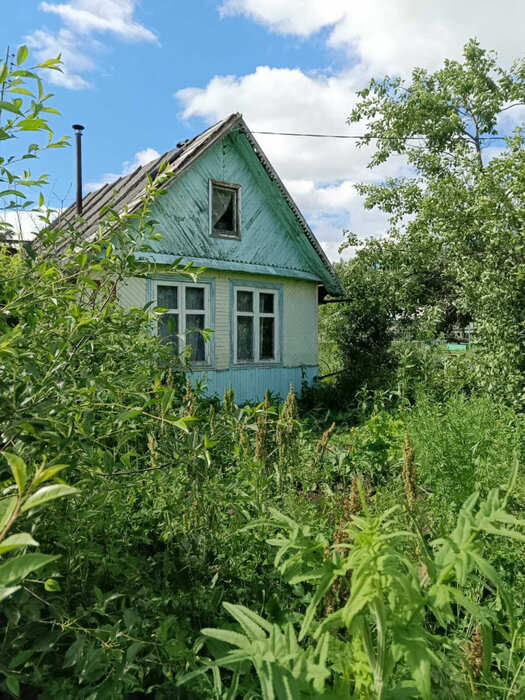 г. Первоуральск, СНТ Калинка (городской округ Первоуральск) - фото сада (1)