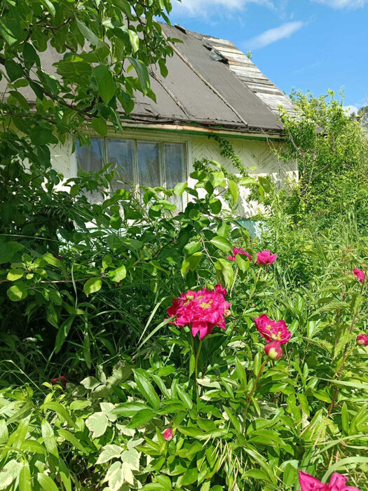 г. Первоуральск, СНТ Калинка (городской округ Первоуральск) - фото сада (4)