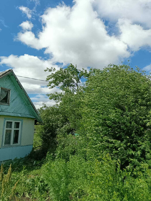 г. Первоуральск, СНТ Калинка (городской округ Первоуральск) - фото сада (6)