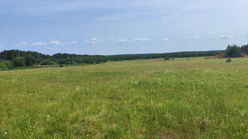 п. Сарапулка, ул. Родниковая, 5 (городской округ Березовский) - фото земельного участка (1)