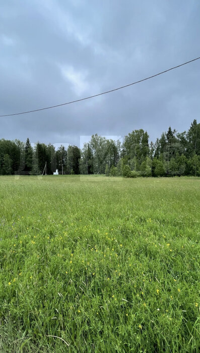 п. Краснояр, ул. Ключевая, 13 (городской округ Ревда) - фото земельного участка (8)