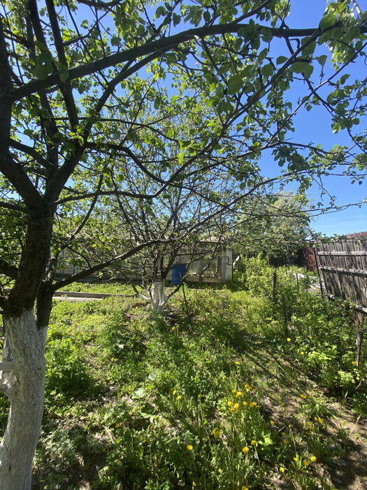 г. Дегтярск, ул. Комсомольская, 25 (городской округ Город Дегтярск) - фото дома (3)