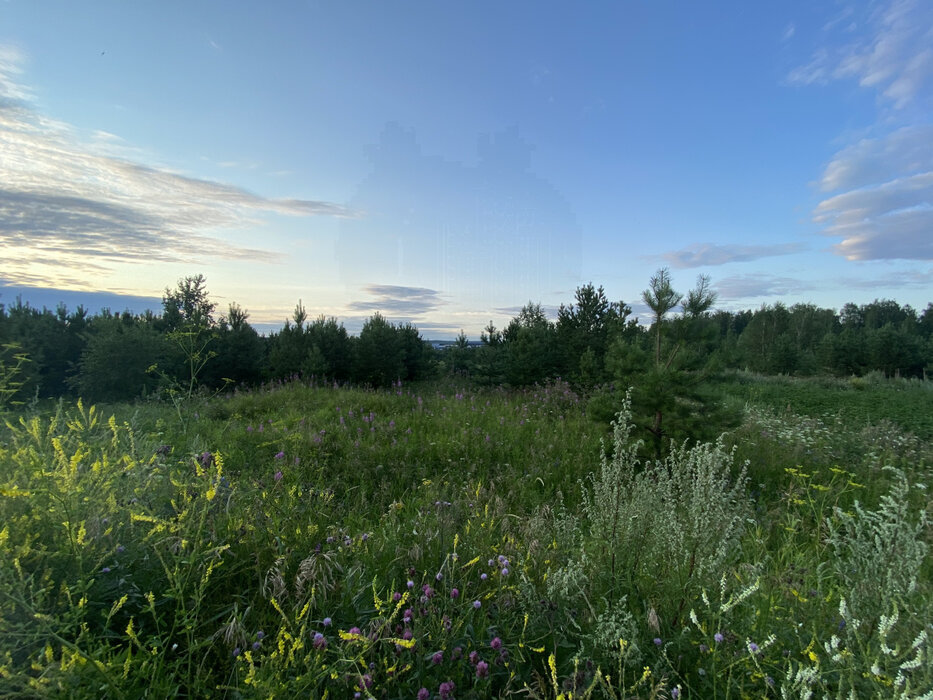 г. Арамиль, ул. Теплое поле, 143 (городской округ Арамильский) - фото земельного участка (1)