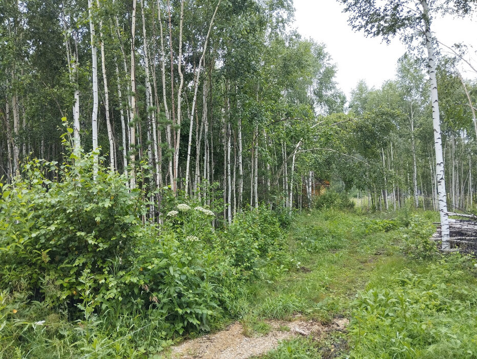 с. Кунгурка, ул. Отрадная (городской округ Ревда) - фото земельного участка (5)