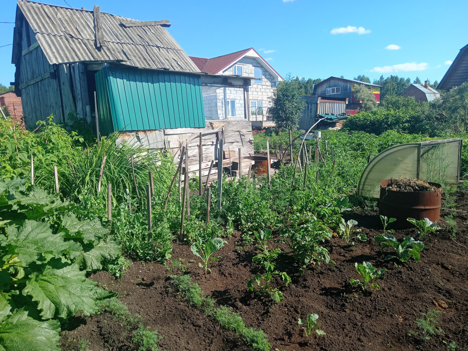 г. Среднеуральск, СНТ Строитель-2 (городской округ Среднеуральск) - фото сада (1)