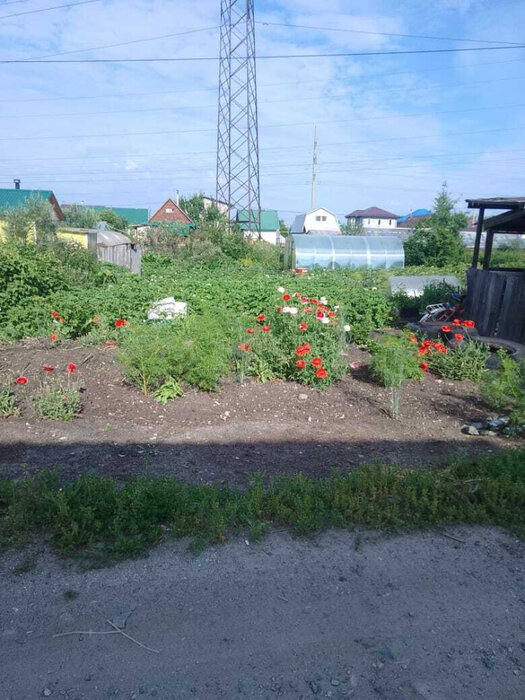 г. Среднеуральск, СНТ Строитель-2 (городской округ Среднеуральск) - фото сада (7)