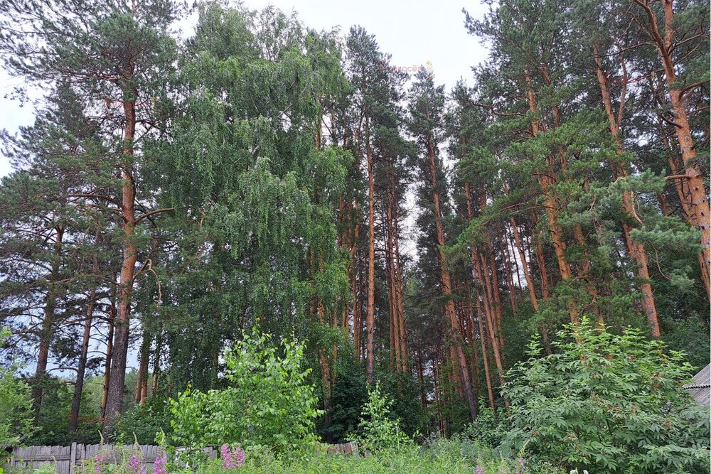 г. Нижний Тагил, ул. Евстюнинская, 4 (городской округ Нижний Тагил) - фото дома (2)