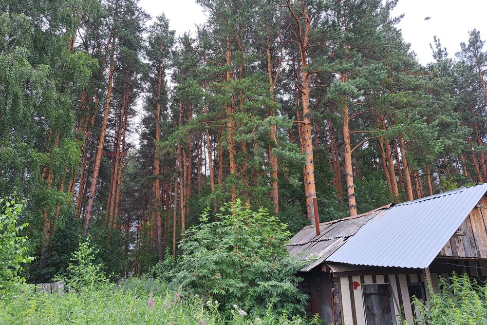 г. Нижний Тагил, ул. Евстюнинская, 4 (городской округ Нижний Тагил) - фото дома (4)