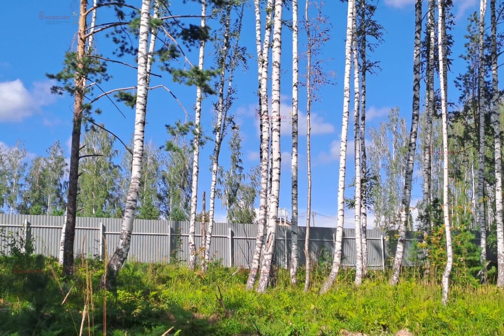 г. Дегтярск, ул. Уральская (городской округ Город Дегтярск) - фото земельного участка (2)