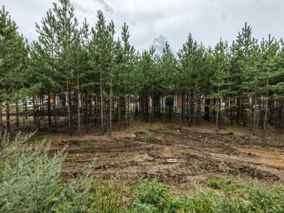 к.п. Зеленые кварталы, д.   (городской округ Белоярский, п. Рассоха) - фото коттеджа (5)