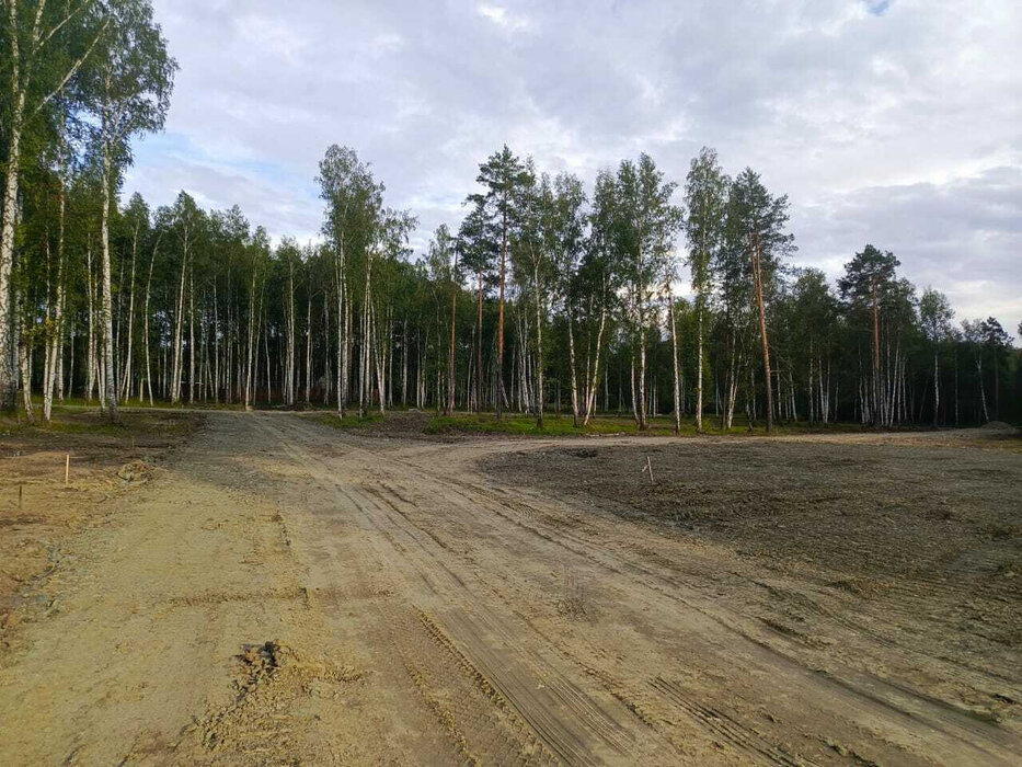 с. Балтым, СНТ Звездочка (городской округ Верхняя Пышма) - фото сада (2)