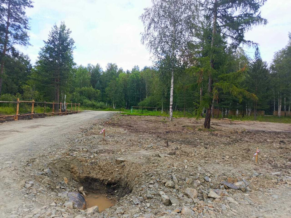 с. Балтым, СНТ Звездочка (городской округ Верхняя Пышма) - фото сада (7)