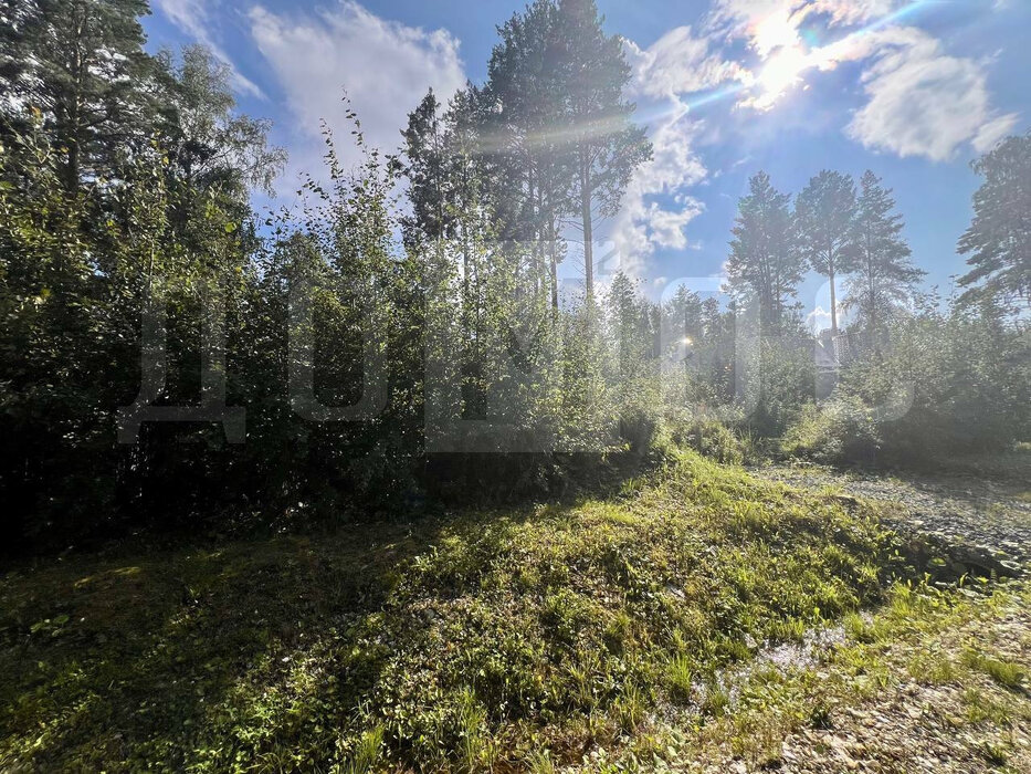 к.п. Заповедник, ул. Сокол (городской округ Сысертский, п. Габиевский) - фото земельного участка (7)