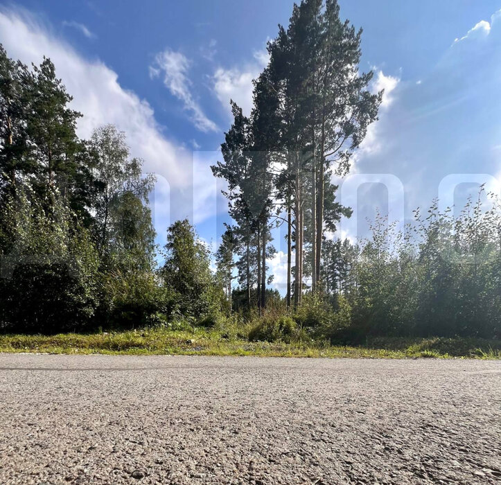 к.п. Заповедник, ул. Сокол (городской округ Сысертский, п. Габиевский) - фото земельного участка (8)